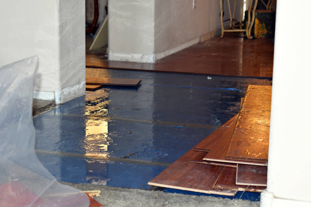 Professional Basement Water Removal technician working in Carrollton, MI