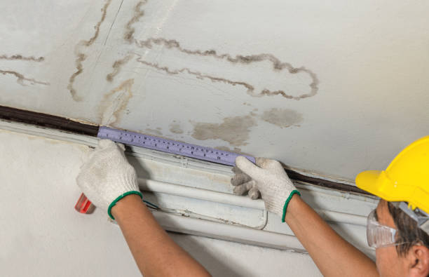 Reliable Basement Water Removal contractor in Carrollton, MI by Water Damage Irwin
